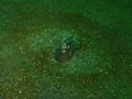 P5200036