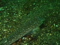 P5200040