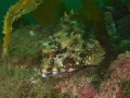 P5200043