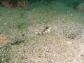 P5200046