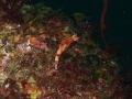 P5270020