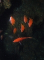 P5270023