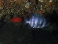 P5270024