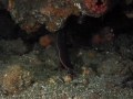 P5270026