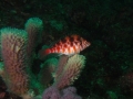 P5270030
