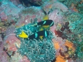 P7080031