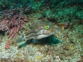 P7080056