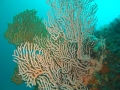 P7080068