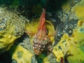 P7080071
