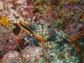 P7080078