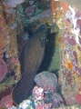 P7080081