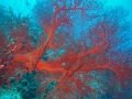 P7270072