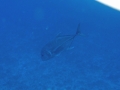 P7280192