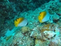 P7280220