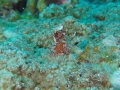 P7280239