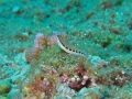 P7280242
