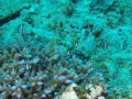 P7280283