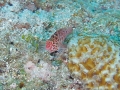 P7280288