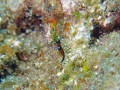 P7280294