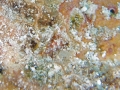 P7280297