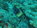P7280302