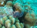 P7280344