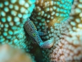 P7280357