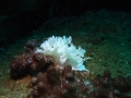 P9010030