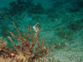P9010065
