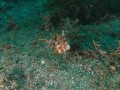 P9010106