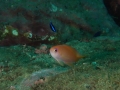 PA060028