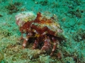 PA060054