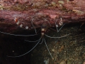 PA060074