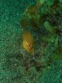 PA060085