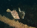 PA220103