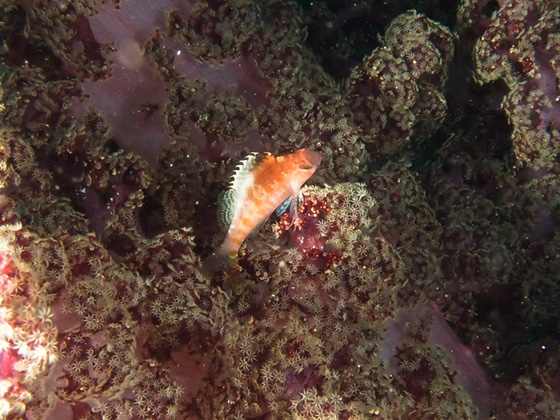 PC010118.jpg - OLYMPUS DIGITAL CAMERA