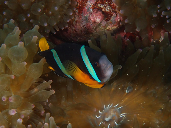 PC010146.jpg - OLYMPUS DIGITAL CAMERA