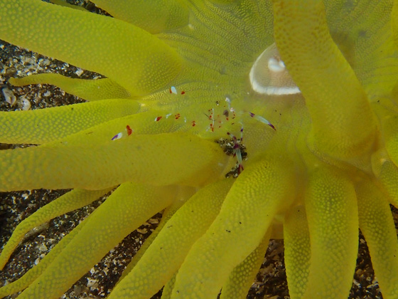 PC010153.jpg - OLYMPUS DIGITAL CAMERA