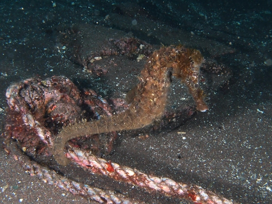 PC010213.jpg - OLYMPUS DIGITAL CAMERA