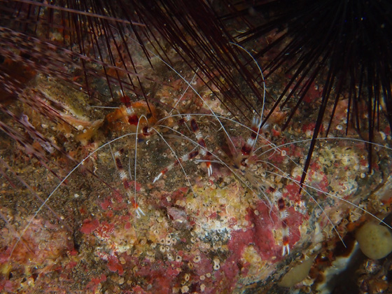 PC010229.jpg - OLYMPUS DIGITAL CAMERA