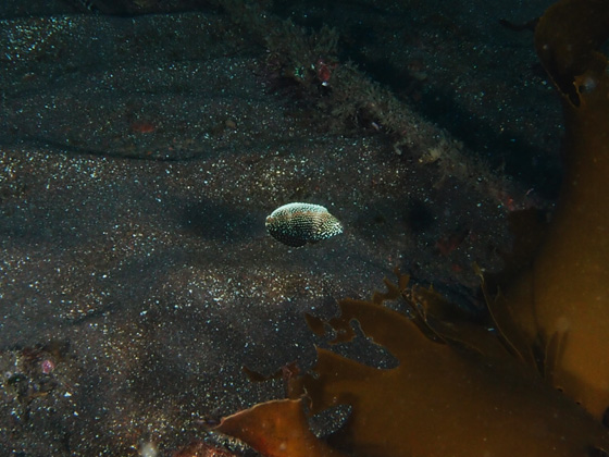 PC090001.jpg - OLYMPUS DIGITAL CAMERA