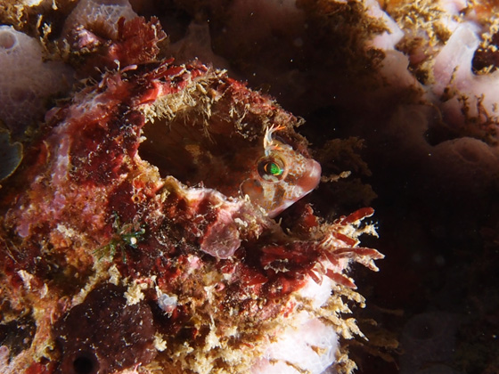 PC090056.jpg - OLYMPUS DIGITAL CAMERA