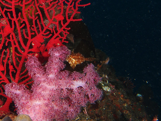 PC160011.jpg - OLYMPUS DIGITAL CAMERA