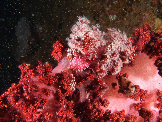 PC160035.jpg - OLYMPUS DIGITAL CAMERA