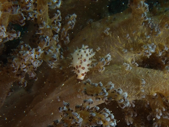 PC160066.jpg - OLYMPUS DIGITAL CAMERA