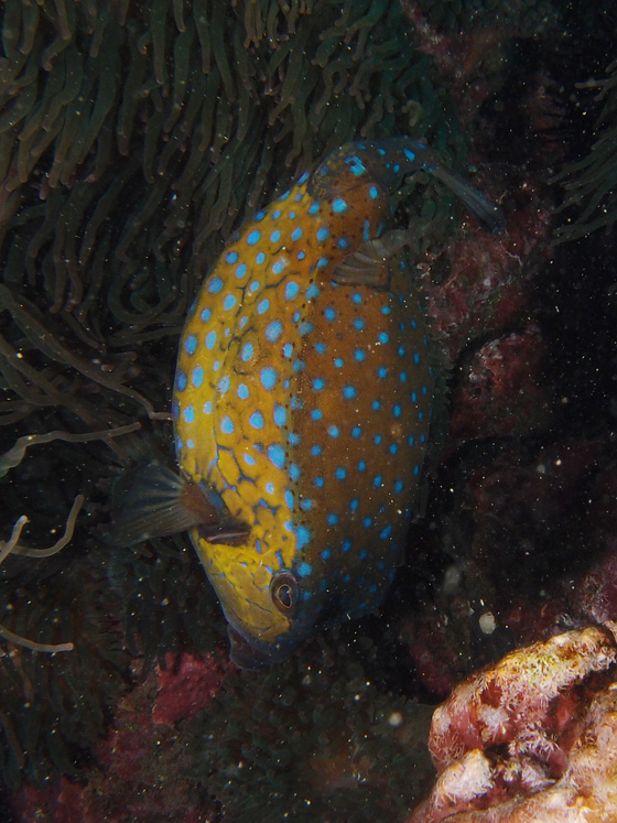 PC160100.jpg - OLYMPUS DIGITAL CAMERA