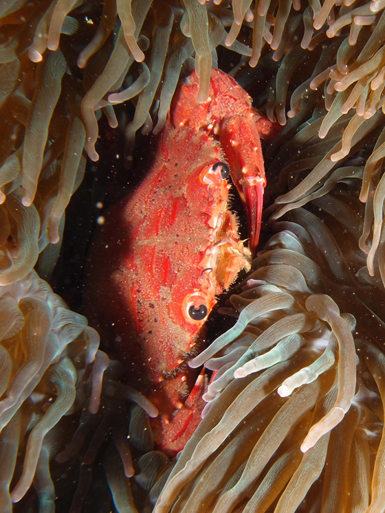 PC160101.jpg - OLYMPUS DIGITAL CAMERA