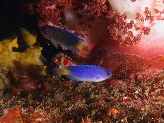 PC230021.jpg - OLYMPUS DIGITAL CAMERA