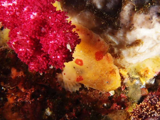 PC230025.jpg - OLYMPUS DIGITAL CAMERA