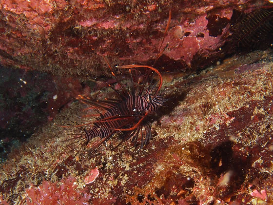 PC230047.jpg - OLYMPUS DIGITAL CAMERA